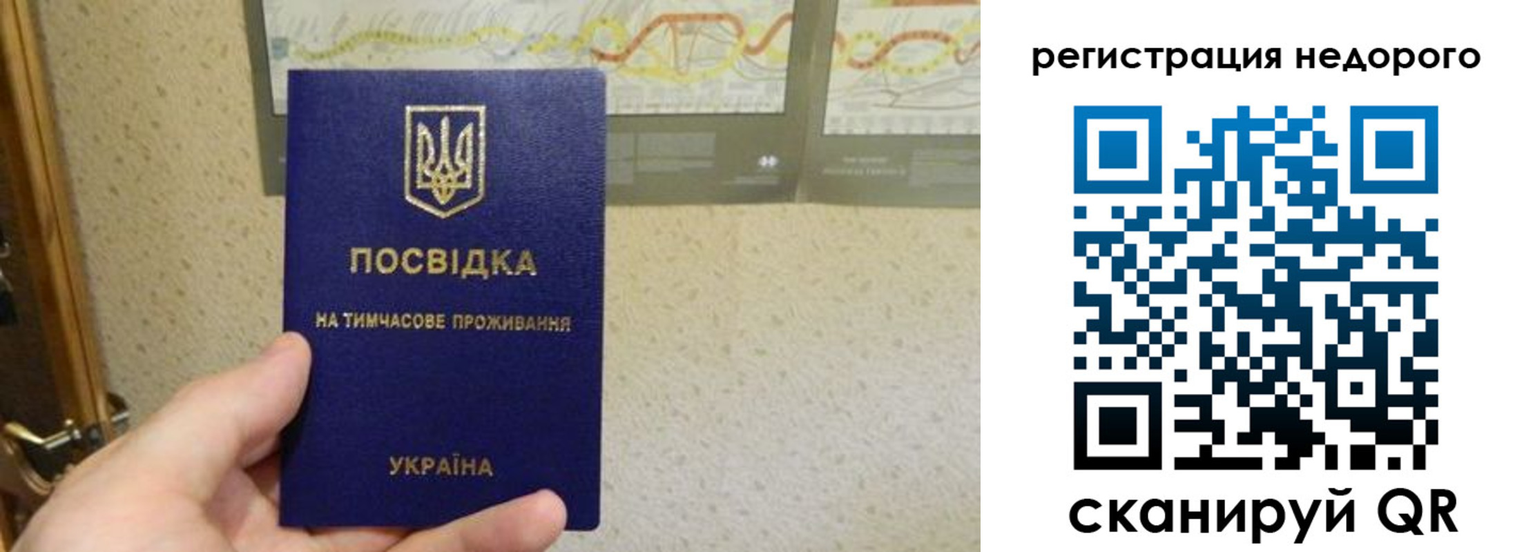 прописка для работы в Шумерле